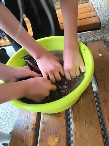 553588924_1272629657994836_5899498734746157531_n