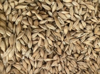 561343289_1292001752724293_2964070608184988102_n