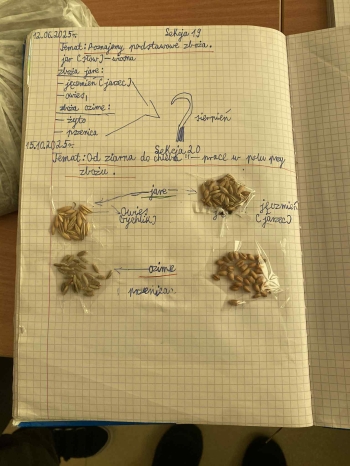 561688058_1292001642724304_2527551423627074842_n