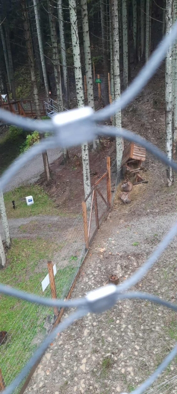 569239255_1298069952117473_4289076601106514404_n