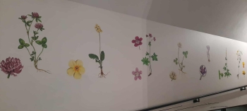 570162503_1298069145450887_7686984716317523541_n