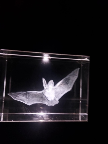 570179664_1298071712117297_1858123902244612762_n