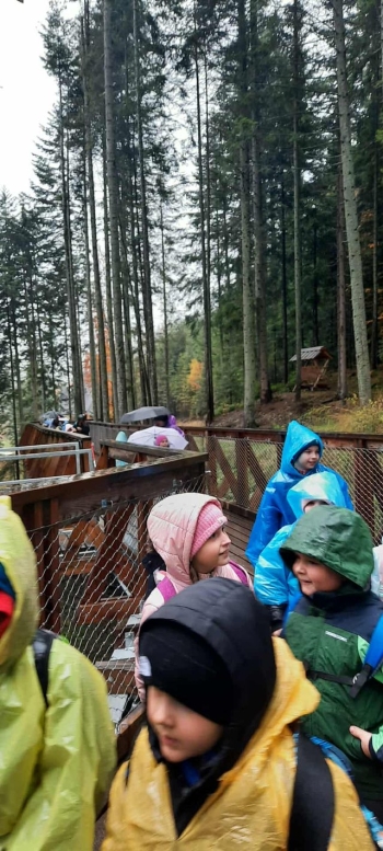 570337612_1298068935450908_2682313004702886839_n