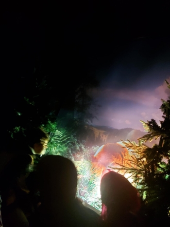 571213335_1298070702117398_4851613173305935190_n