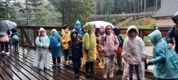 571230522_1298068795450922_2181195676069284810_n