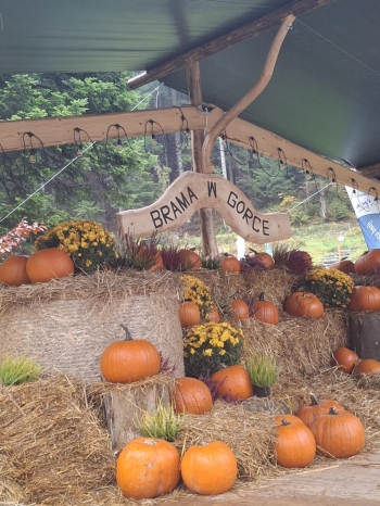 572000957_1298071525450649_6703597294606002707_n