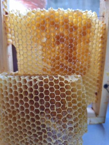 571137886_1298085345449267_2387387978100549907_n