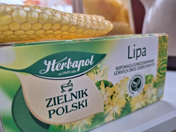 571164859_1298085438782591_8286843725858783376_n