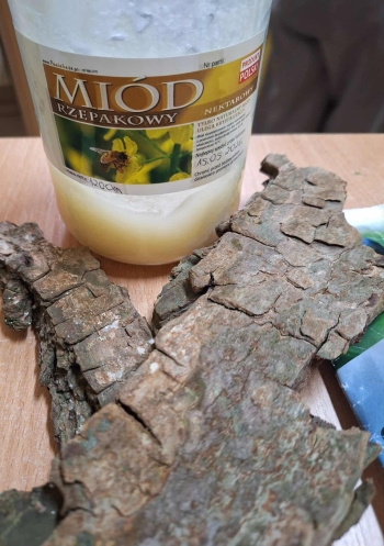 569659708_1298084968782638_2969155488777009144_n