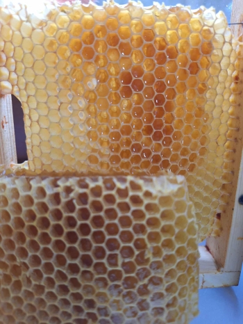 571224138_1298084805449321_6014188658600515626_n