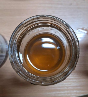 571229644_1298084755449326_153619394242261049_n