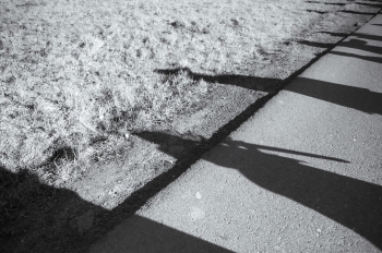 574853557_1303995714858230_1291219900037016884_n