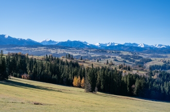 574863612_1303993424858459_8817891590186658888_n