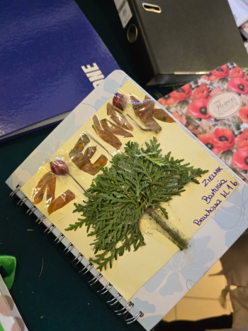 583280123_1318256543432147_6502381060068798900_n