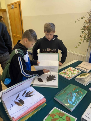 584666289_1318256603432141_2659854013789272777_n