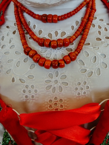 584723559_1318926810031787_8414477791587938894_n