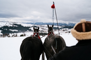 597649528_1333869621870839_4326152952017077827_n