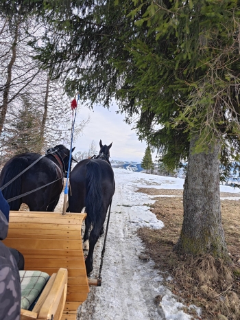 623363386_1371923471398787_6146325467285199983_n